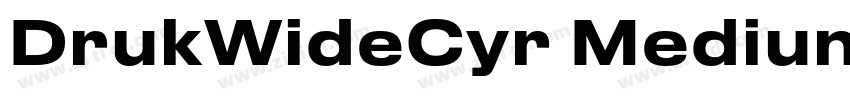 DrukWideCyr Medium字体转换